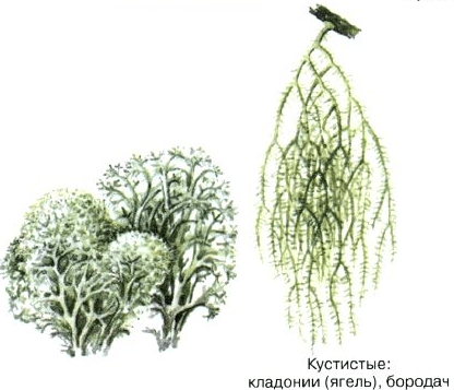 Решение рисунок 4