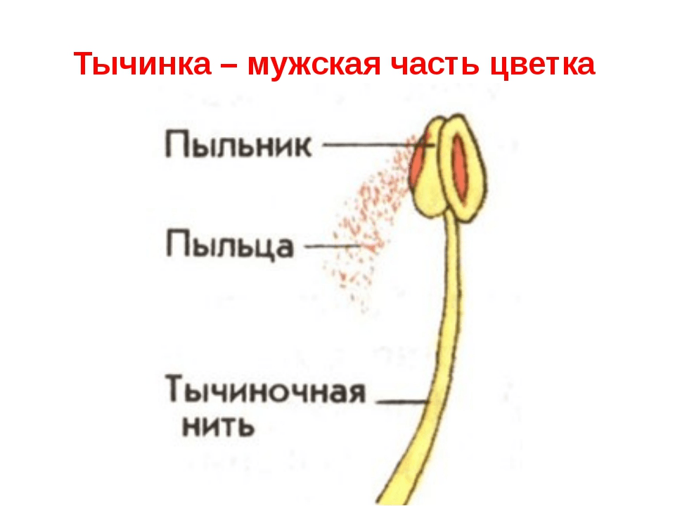 Решение рисунок 1