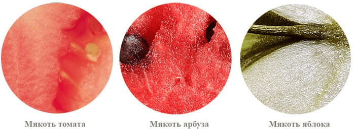Решение рисунок 1