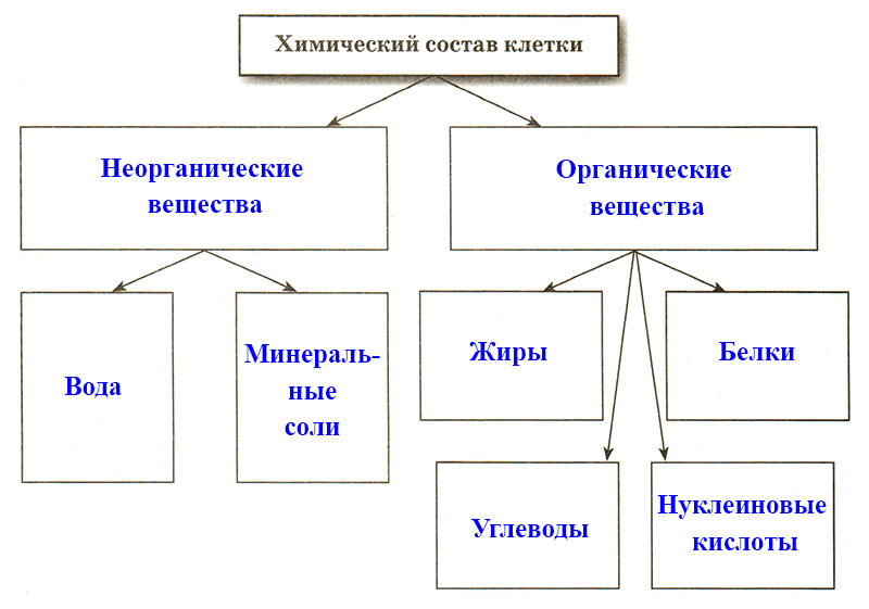 Решение рисунок 1
