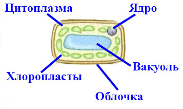 Решение рисунок 3