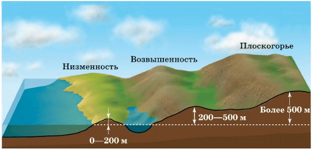 Задание рисунок 1