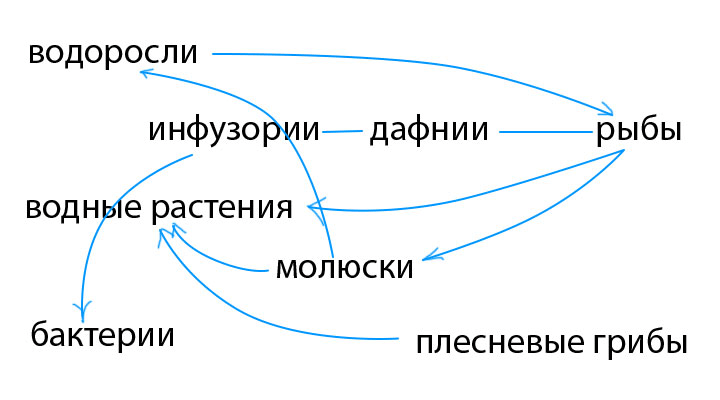 Решение рисунок 1