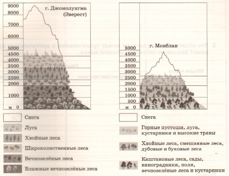 Задание рисунок 1