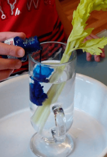 Решение рисунок 1