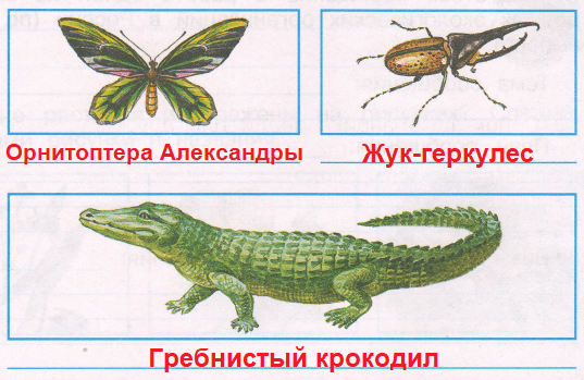 Решение рисунок 1